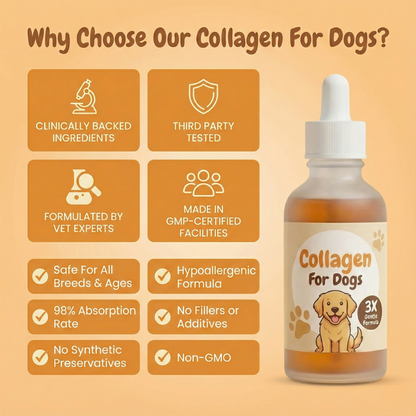 Pawtigen | The Last Solution for Itchy Dogs (When Pills Have Failed)