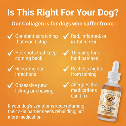 Pawtigen | The Last Solution for Itchy Dogs (When Pills Have Failed)
