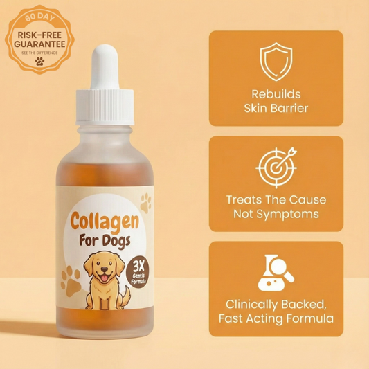 Pawtigen | The Last Solution for Itchy Dogs (When Pills Have Failed)