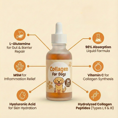 Pawtigen | The Last Solution for Itchy Dogs (When Pills Have Failed)